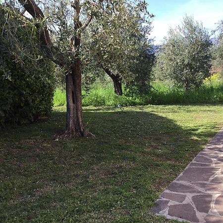 Bio Forester Manerba del Garda Buitenkant foto