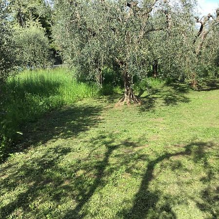 Bio Forester Manerba del Garda Buitenkant foto